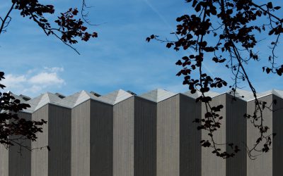 Un nouveau pavillon en bois au Théâtre de Vidy