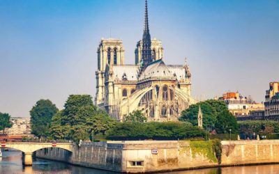 La divine proportion et le bois pour ressusciter Notre-Dame