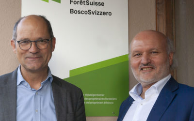 Un nouveau directeur à la tête de ForêtSuisse