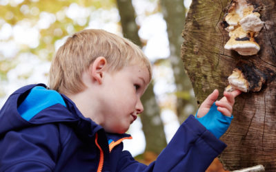 Apprendre dans et par la nature