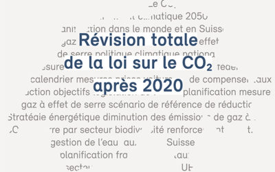 Votation référendaire : Lignum soutient la nouvelle loi sur le CO₂