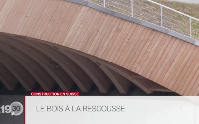 Construction en Suisse : le bois à la rescousse