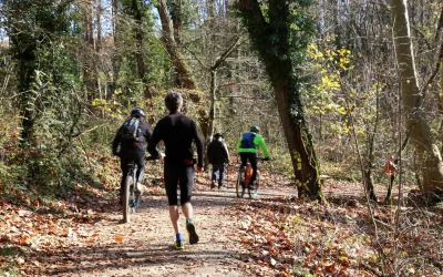 Journée internationale des forêts : la population apprécie les forêts suisses et s’en préoccupe