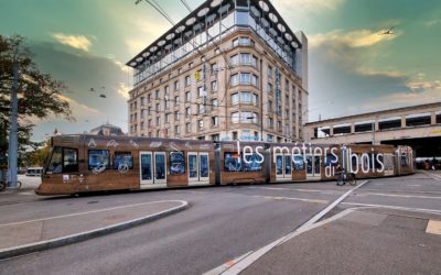 Les métiers du bois sont sur les rails